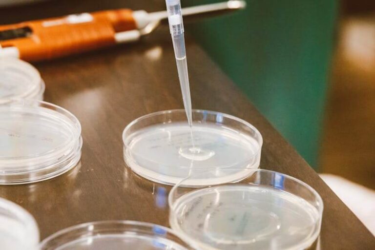 How Nanoliter Pipetting Improves Precision in Genomics and Cell Biology How Nanoliter Pipetting Improves Precision in Genomics and Cell Biology